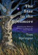 Image for "The Star in the Sycamore"