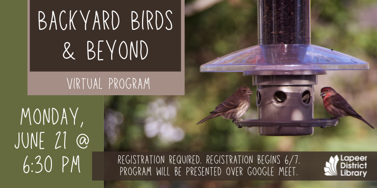 Backyard Birds and Beyond Virtual Program