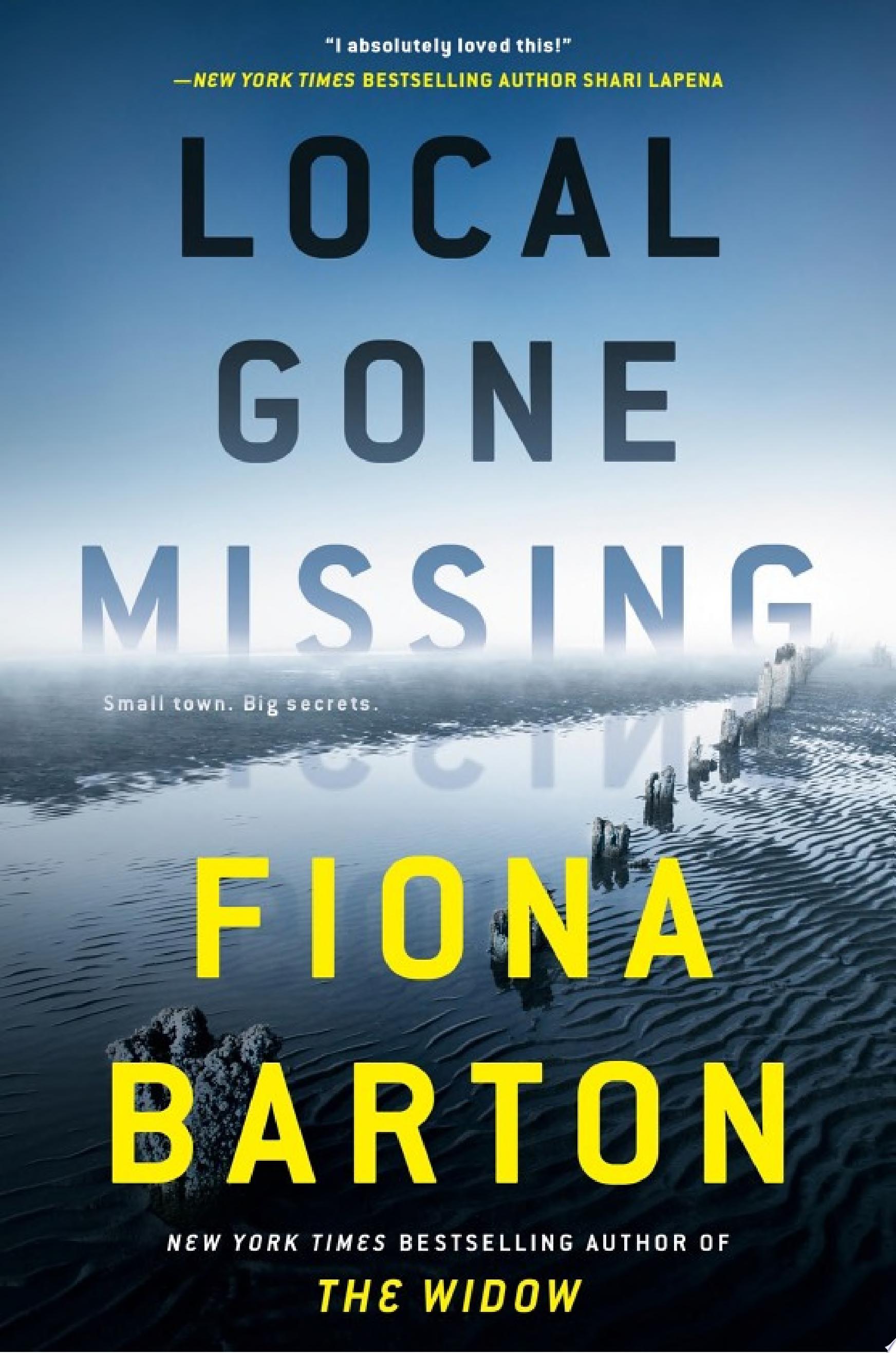 Image for "Local Gone Missing"