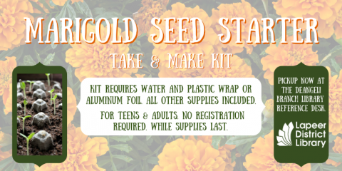 Marigold Seed Starter Take & Make Kits 