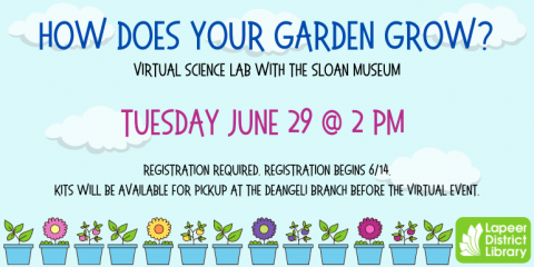 How does your garden grow at deAngeli 