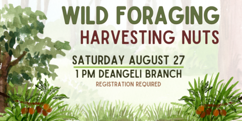 Saturday August 27 1 pm deAngeli branch Wild Foraging Wild Foraging Harvesting Nuts Registration Required