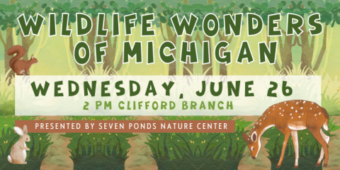 Wildlife wonders  of Michigan Wednesday, June 26 2 PM Clifford Branch Presented by seven ponds nature center