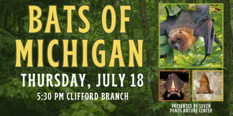 Bats of Michigan Thursday, July 18 5:30 PM clifford branch presented by seven  ponds nature center