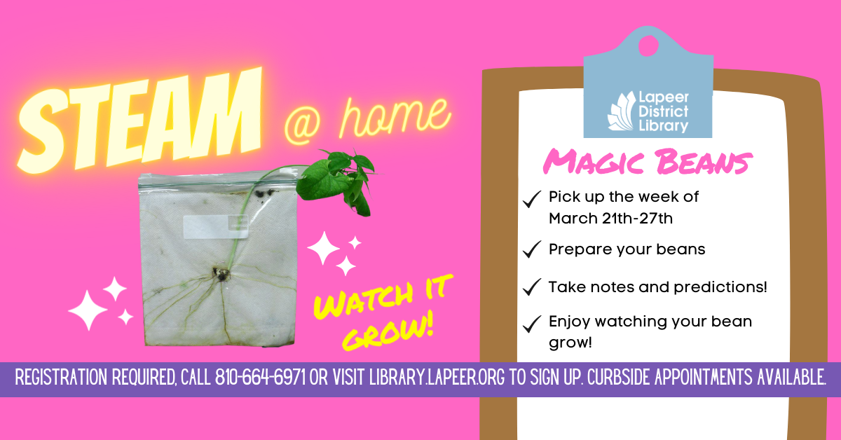 Steam @ Home Magic Beans