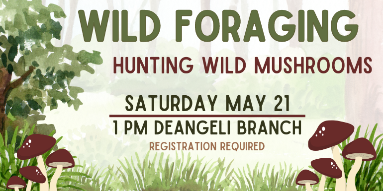 Wild Foraging Mushrooms