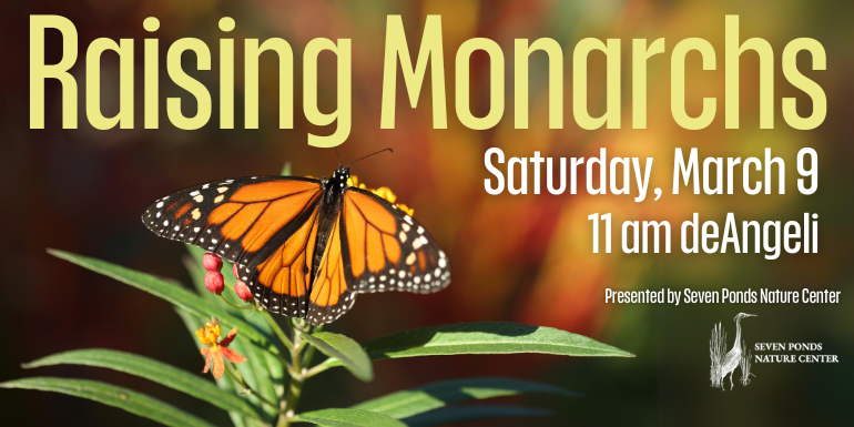 Raising Monarchs Saturday, March 9 11 am deAngeli Presented by Seven Ponds Nature Center