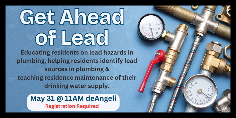 Get Ahead of Lead